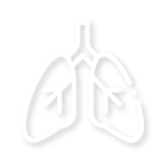 icon-lungs